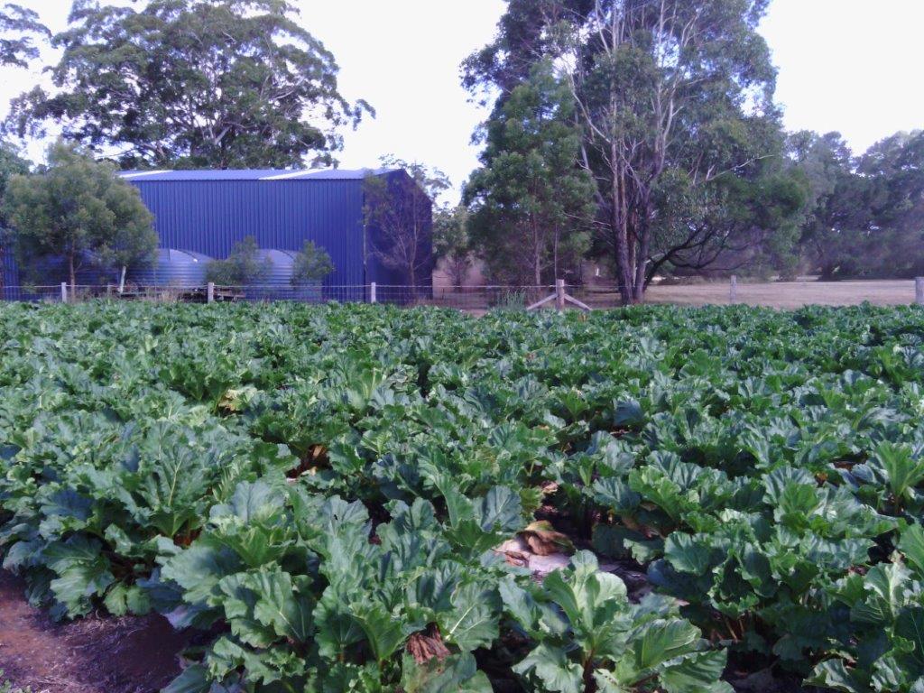 Farm