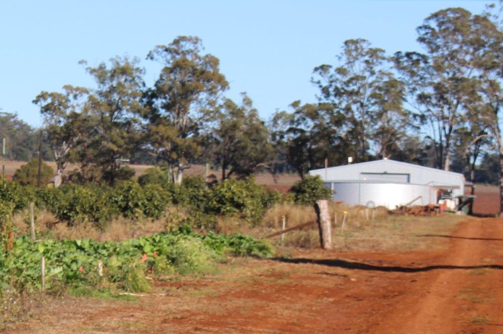 Farm