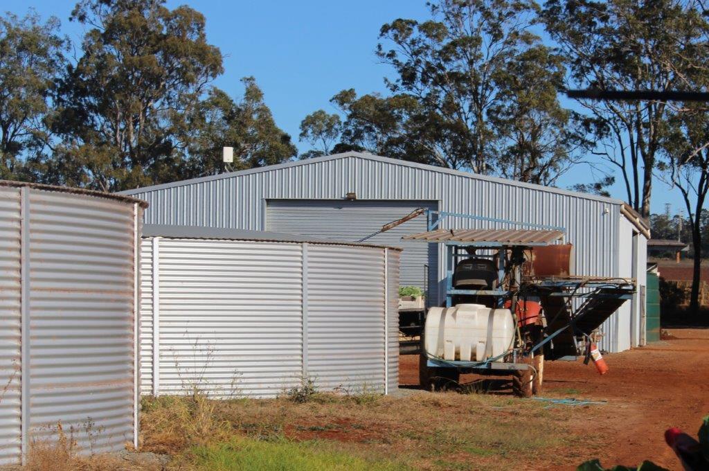 Shed