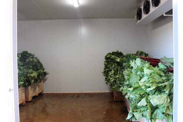 Pallet in coldroom