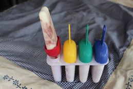 Rhubarb and Yoghurt Pops