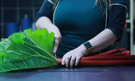 How to stew rhubarb