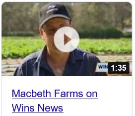 Win News